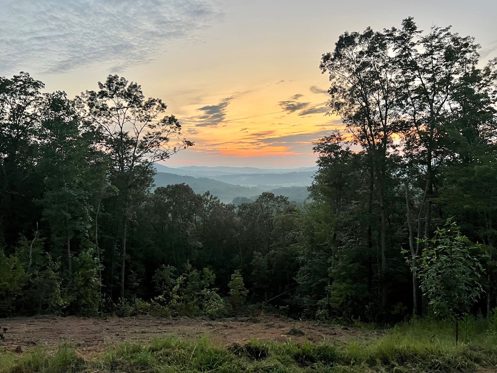 Lot 29 Grand Laurel #29, BRASSTOWN, North Carolina image 4