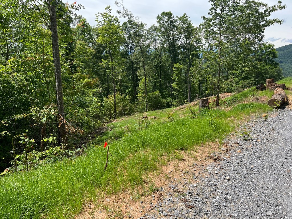 Lot 29 Grand Laurel #29, BRASSTOWN, North Carolina image 6