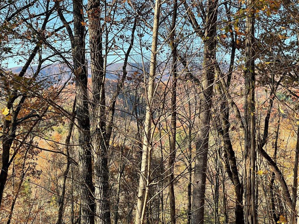 40M Mountain Harbour #40M, HAYESVILLE, North Carolina image 2