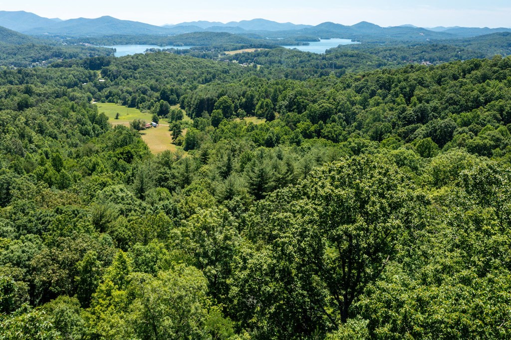 Lot 6 Hidden Forest Lane #6, HAYESVILLE, North Carolina image 5