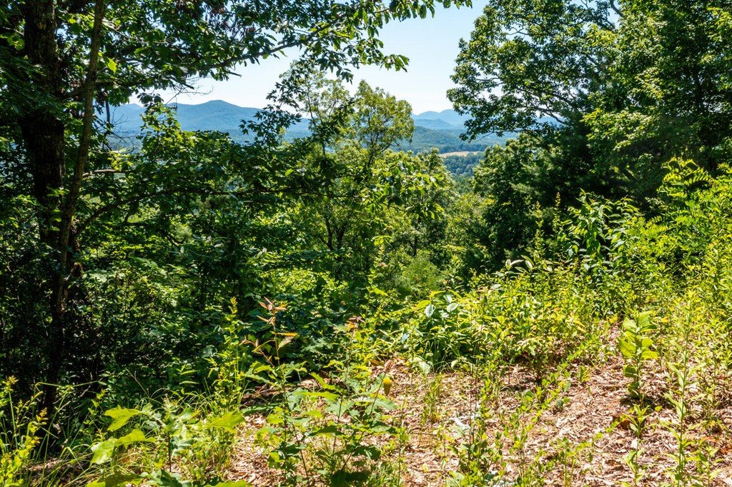 Lot 6 Hidden Forest Lane #6, HAYESVILLE, North Carolina image 6