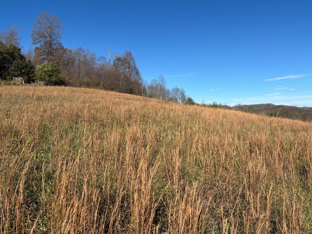 Lots 1-4 Windy Ridge Terrace & Hwy 69, HAYESVILLE, North Carolina image 24