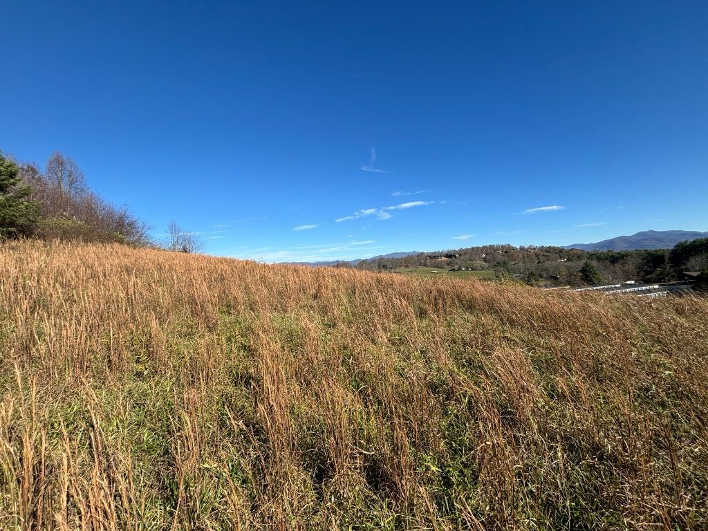 Lots 1-4 Windy Ridge Terrace & Hwy 69, HAYESVILLE, North Carolina image 25