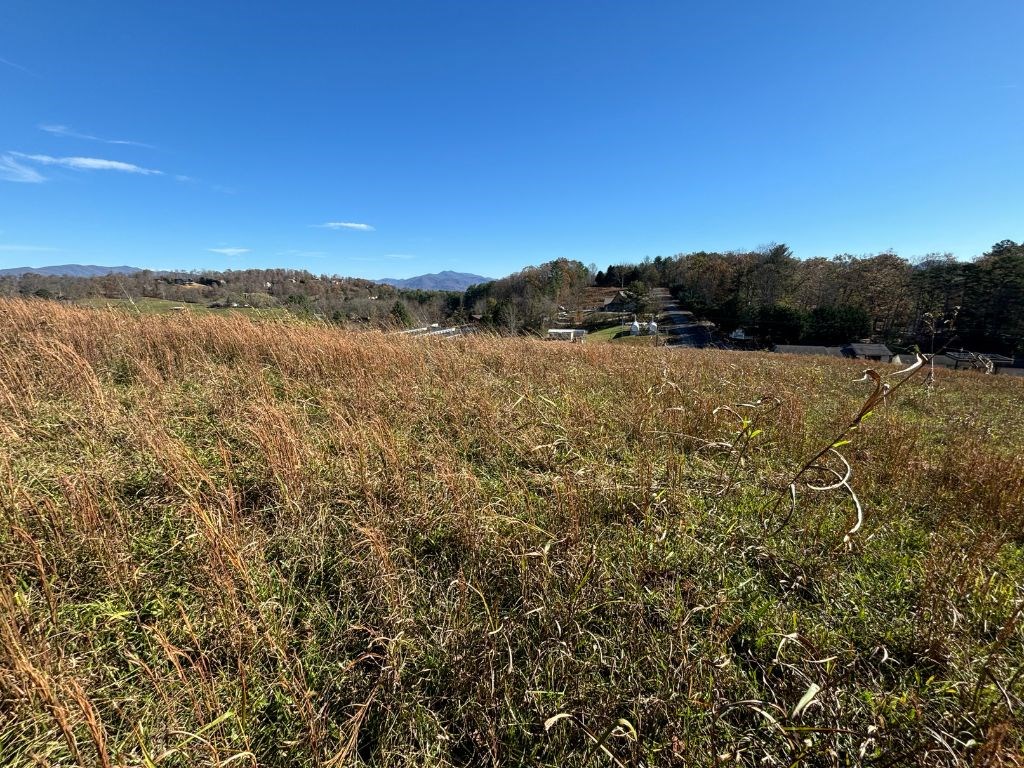 Lots 1-4 Windy Ridge Terrace & Hwy 69, HAYESVILLE, North Carolina image 26