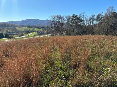 Vacant Land For Sale - LOTS 1-4 Windy Ridge Terrace & Hwy 69 Ter<br/> Clay County, HAYESVILLE, NC 28904