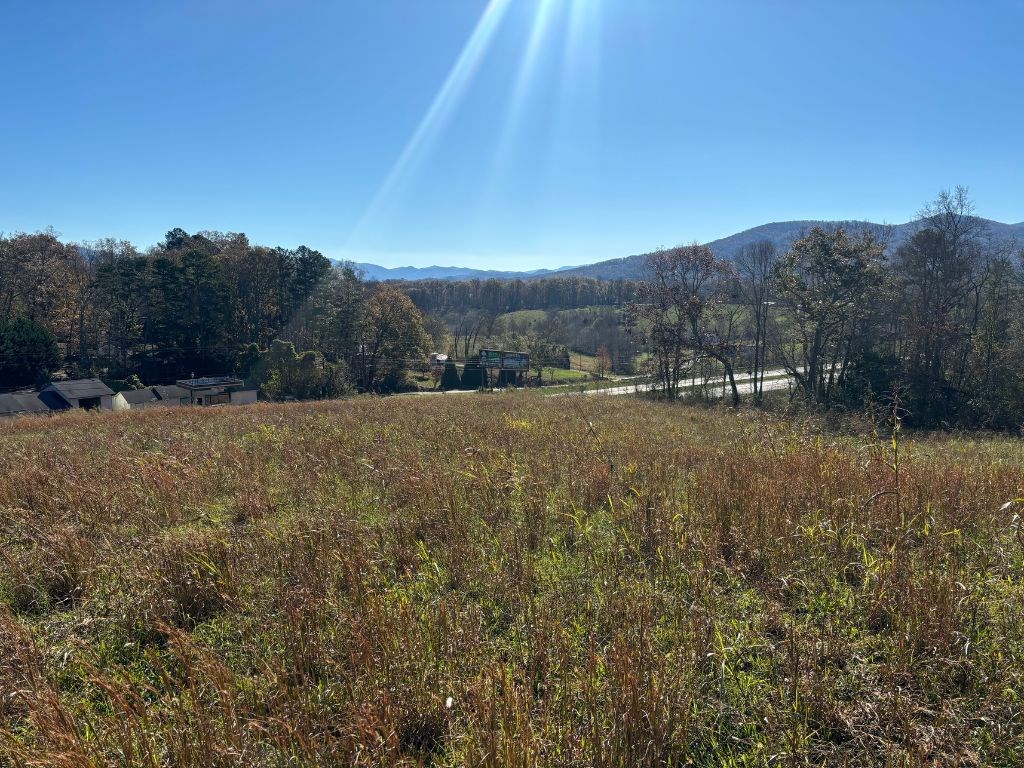 Lots 1-4 Windy Ridge Terrace & Hwy 69, HAYESVILLE, North Carolina image 19