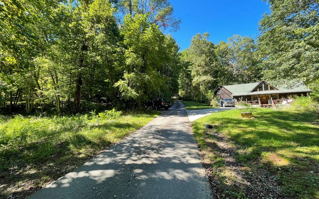 Parcel 1 Buena Vista Dr #1, HAYESVILLE, North Carolina image 3