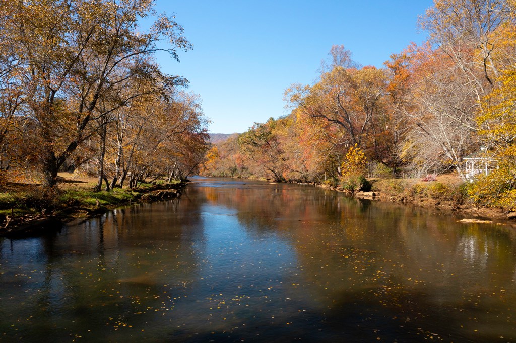 251 Laurel Creek, HAYESVILLE, North Carolina image 23