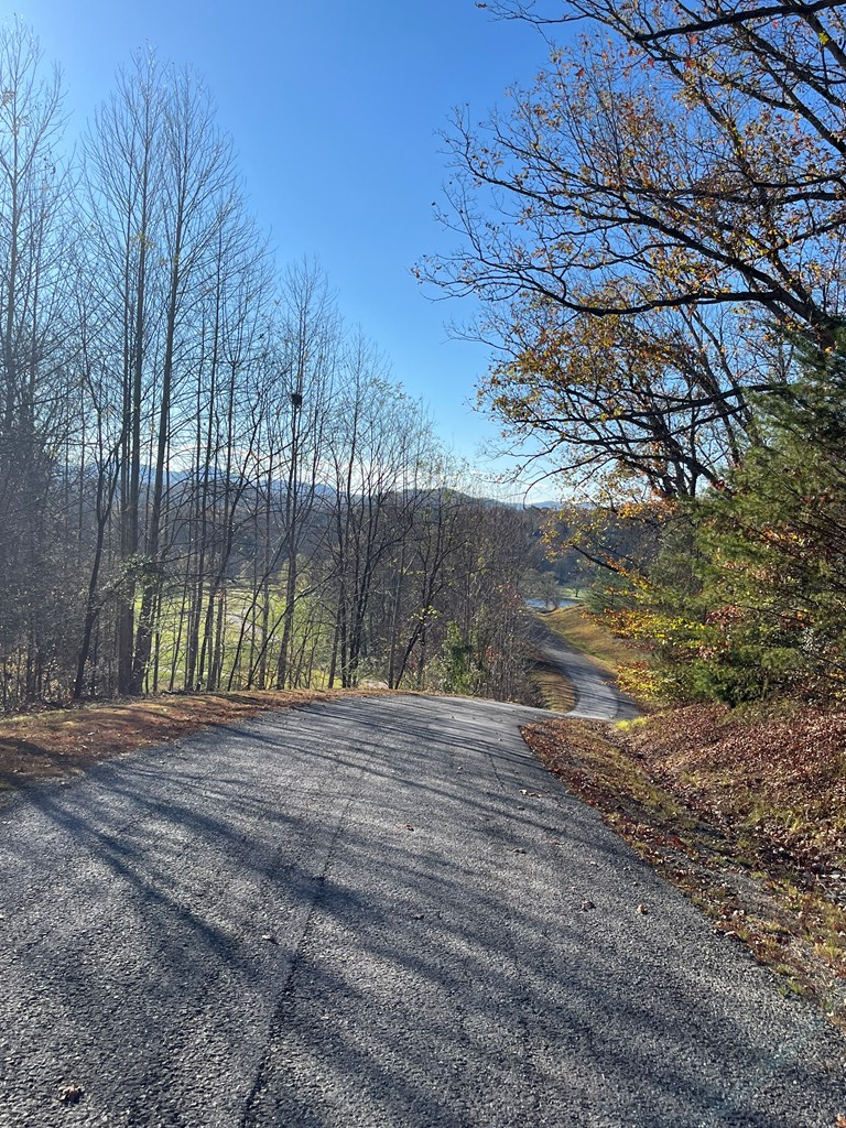 14M Ridges Overlook #14M, HAYESVILLE, North Carolina image 4