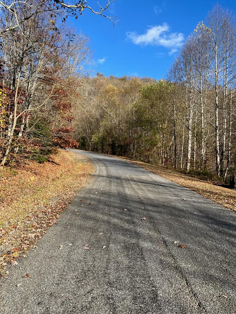 14M Ridges Overlook #14M, HAYESVILLE, North Carolina image 1