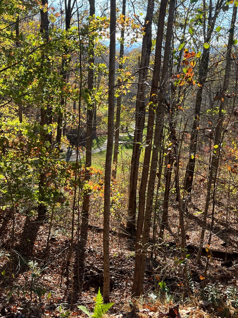 14M Ridges Overlook #14M, HAYESVILLE, North Carolina image 7