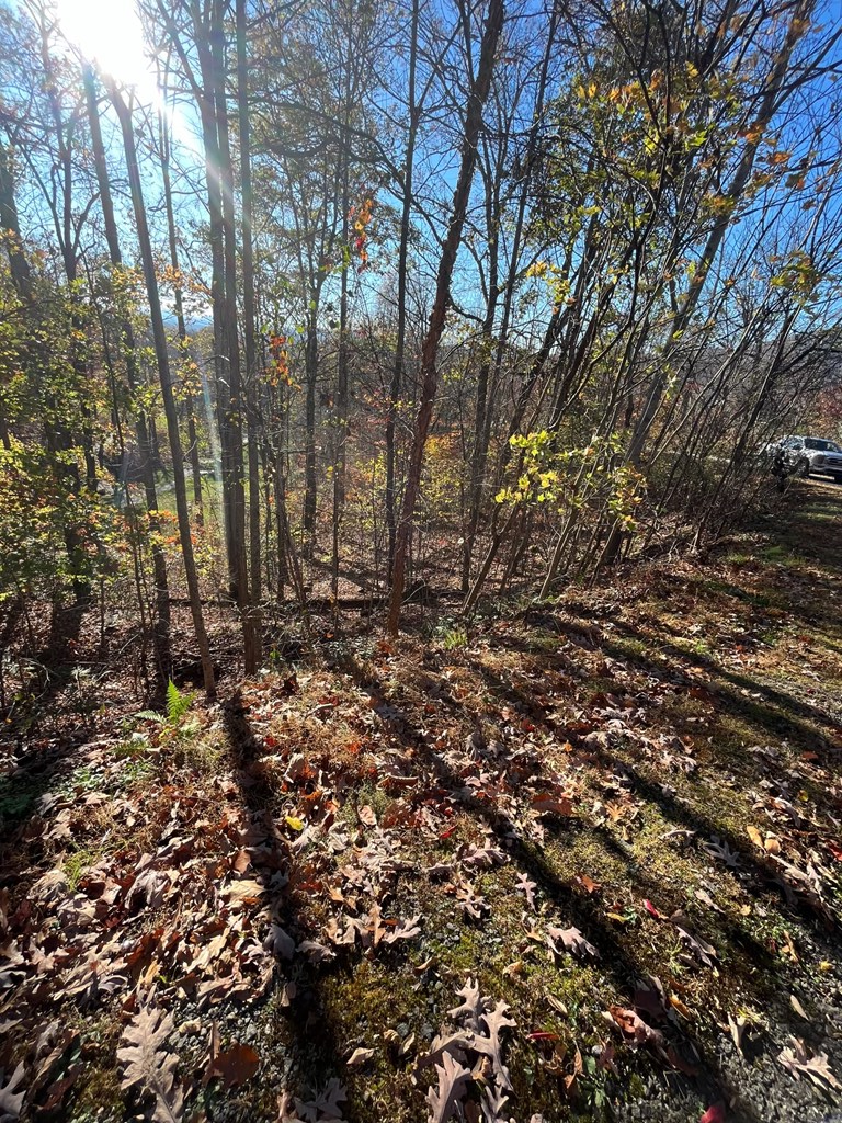 14M Ridges Overlook #14M, HAYESVILLE, North Carolina image 9