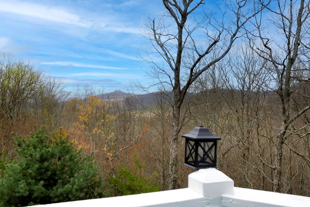 480 Tranquil Cove Rd, MURPHY, North Carolina image 4
