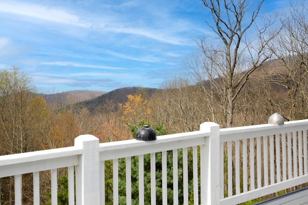 480 Tranquil Cove Rd, MURPHY, North Carolina image 39