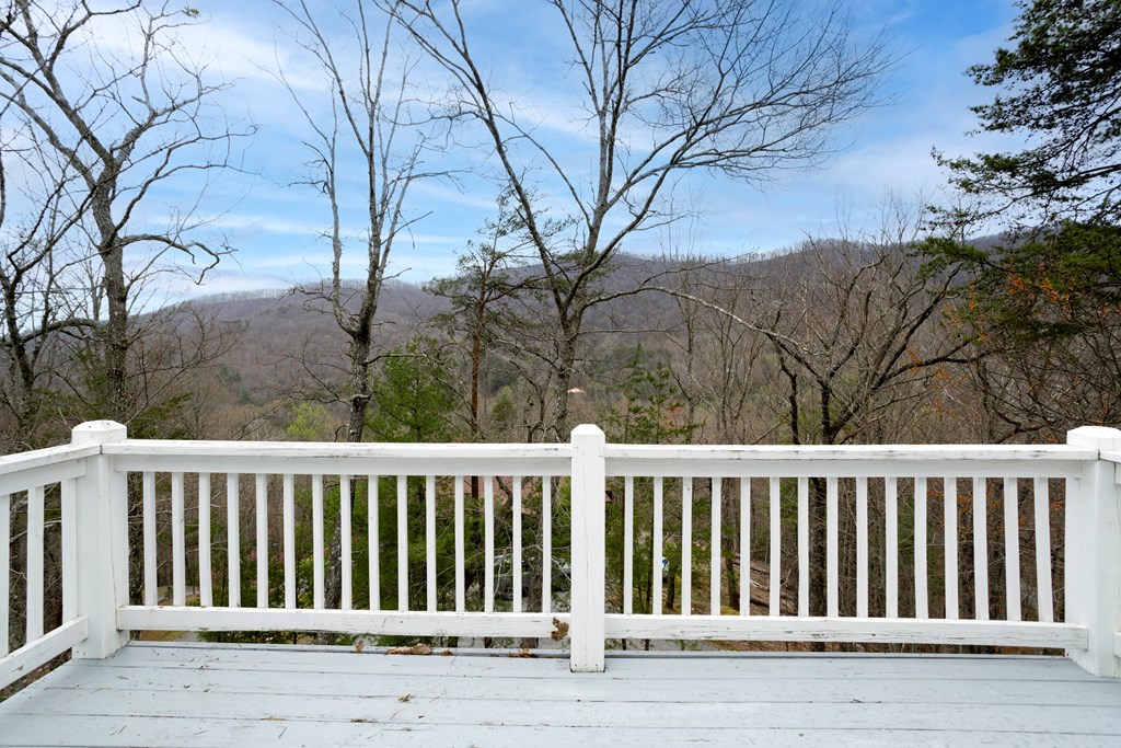 480 Tranquil Cove Rd, MURPHY, North Carolina image 23