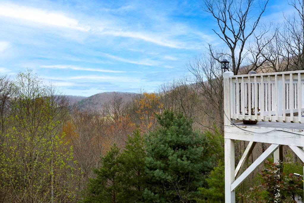 480 Tranquil Cove Rd, MURPHY, North Carolina image 37