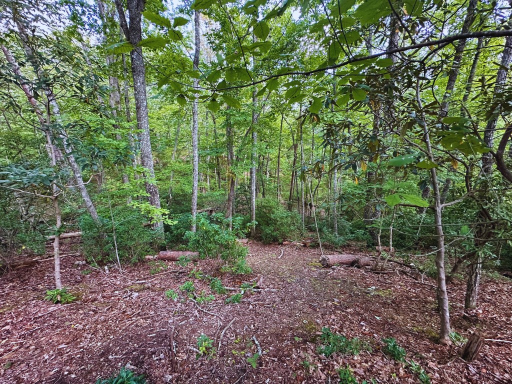 Lot 57 Asheland Overlook Dr #57, YOUNG HARRIS, Georgia image 7