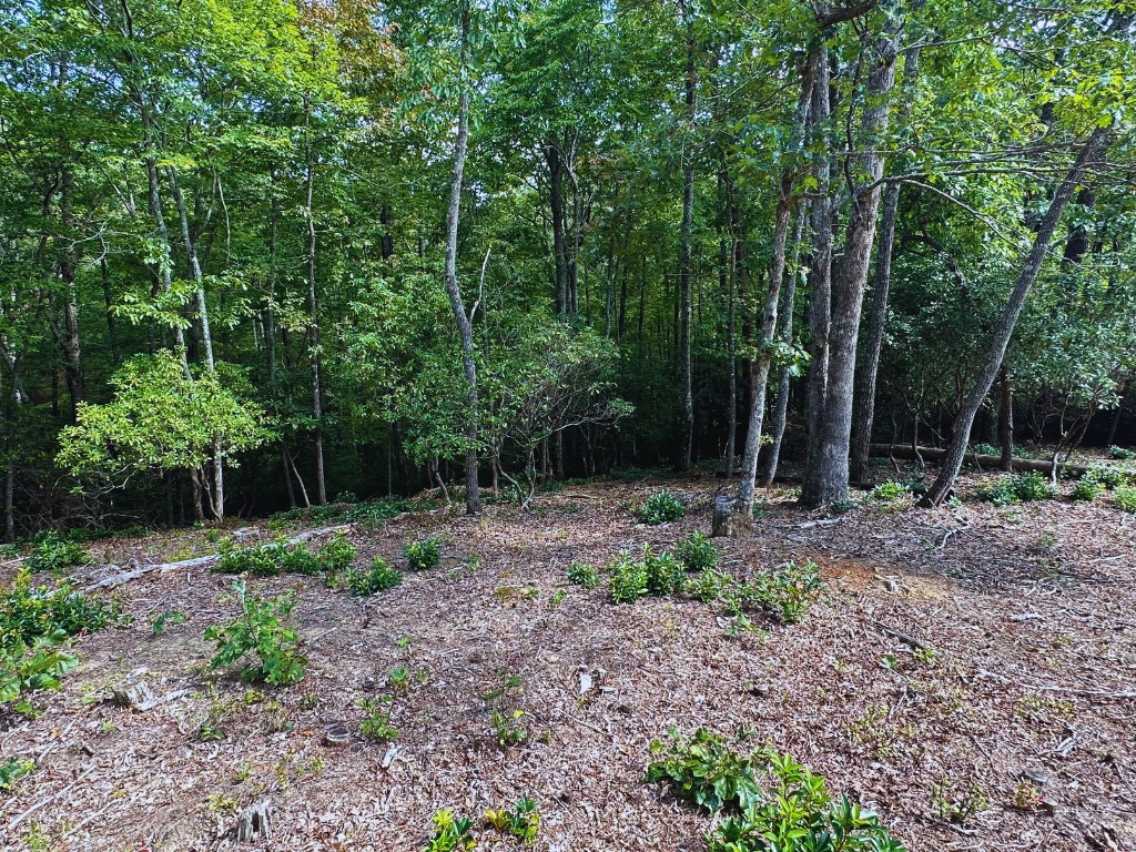 Lot 57 Asheland Overlook Dr #57, YOUNG HARRIS, Georgia image 8