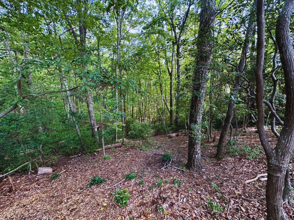 Lot 57 Asheland Overlook Dr #57, YOUNG HARRIS, Georgia image 9