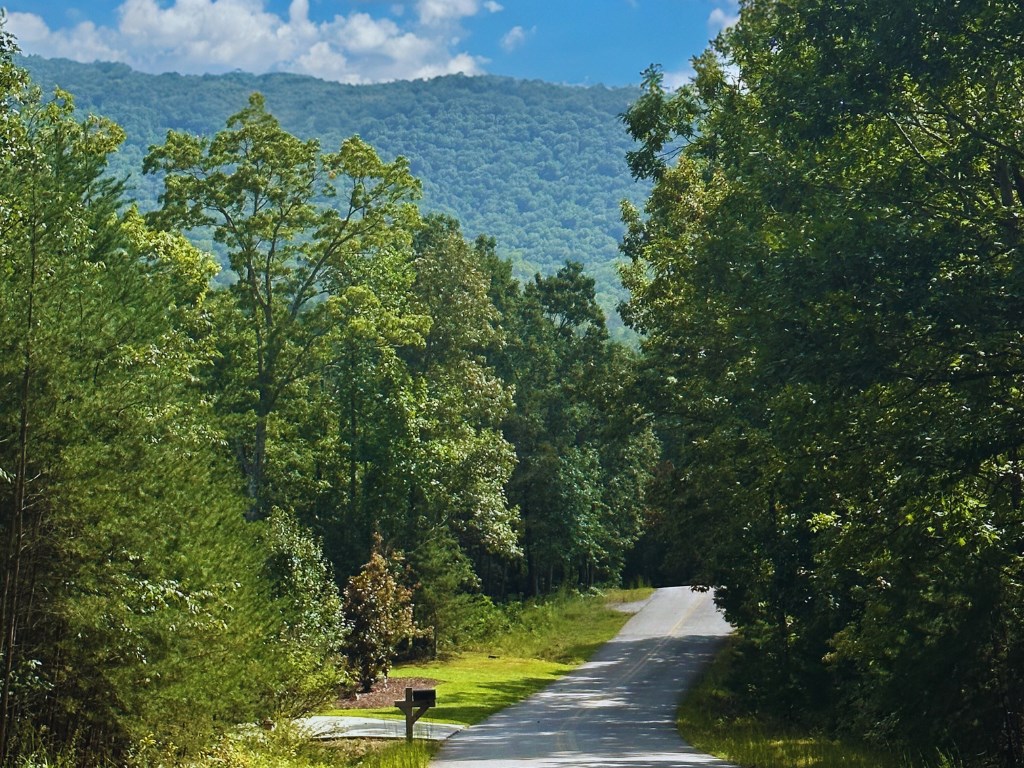 Lot 57 Asheland Overlook Dr #57, YOUNG HARRIS, Georgia image 5