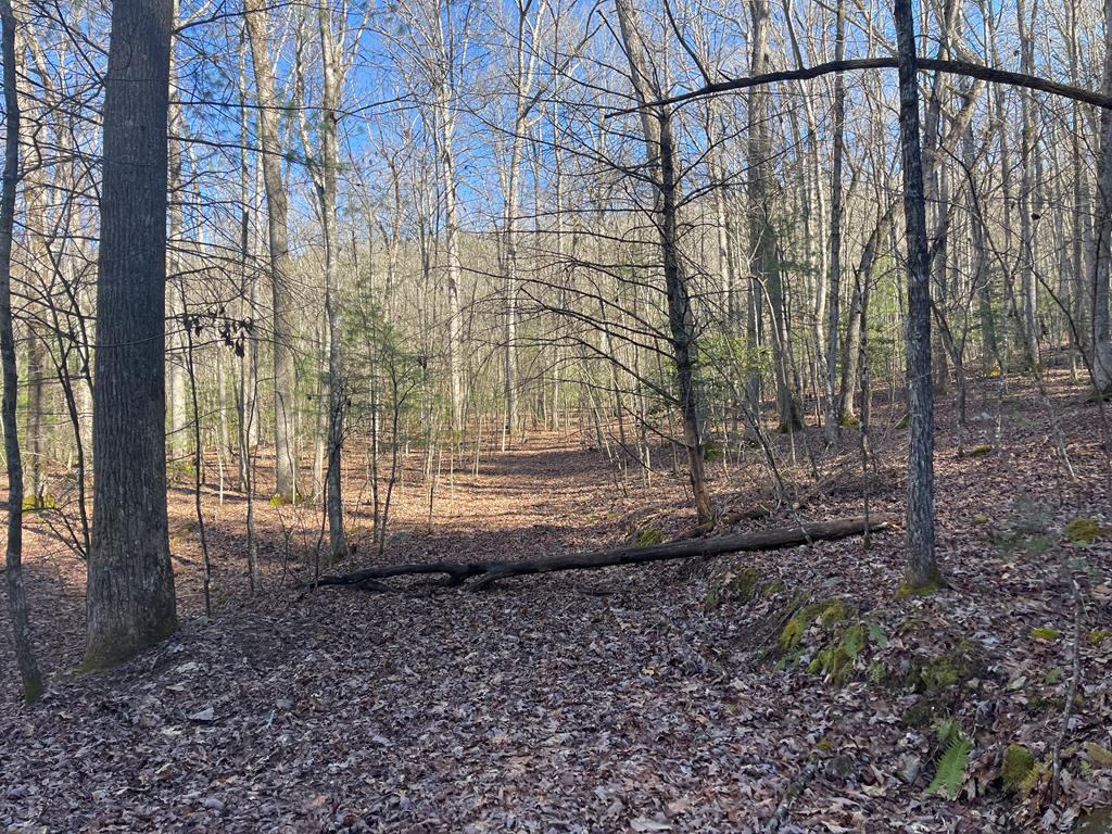 Maple Ridge Lane, MURPHY, North Carolina image 1