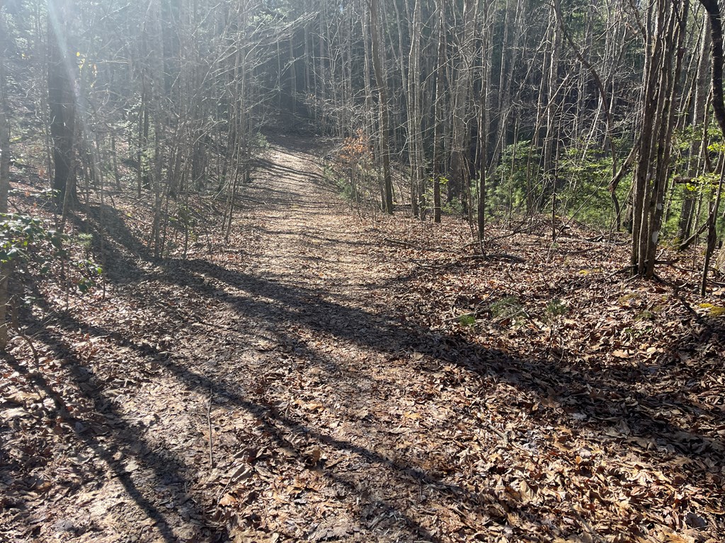 Maple Ridge Lane, MURPHY, North Carolina image 6