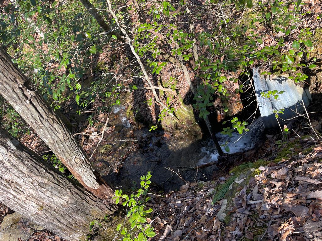 Maple Ridge Lane, MURPHY, North Carolina image 3