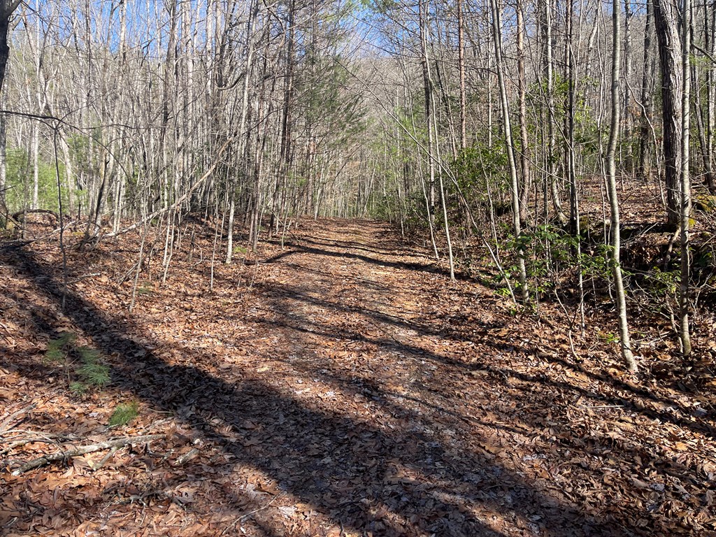 Maple Ridge Lane, MURPHY, North Carolina image 5