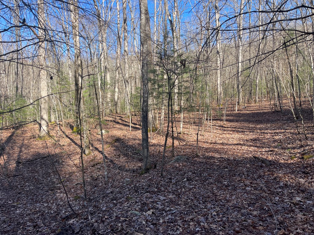 Maple Ridge Lane, MURPHY, North Carolina image 4
