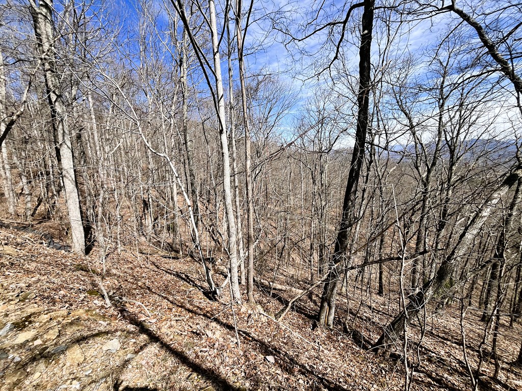 LOT36 Overlook Loop #36, YOUNG HARRIS, Georgia image 9