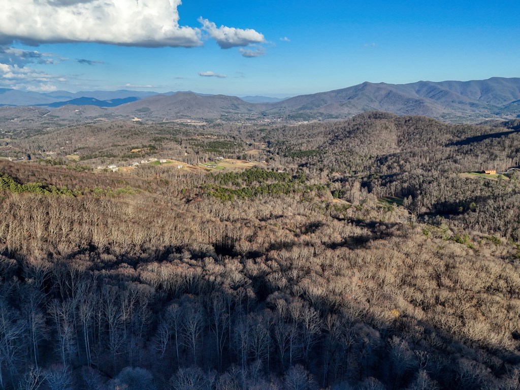 LOT36 Overlook Loop #36, YOUNG HARRIS, Georgia image 14