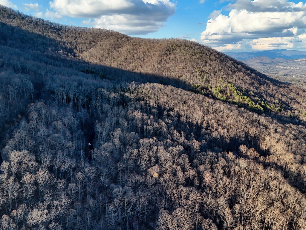 LOT36 Overlook Loop #36, YOUNG HARRIS, Georgia image 17