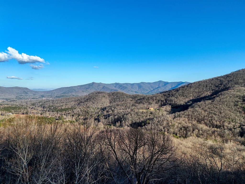 LOT36 Overlook Loop #36, YOUNG HARRIS, Georgia image 13