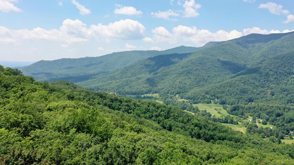 10 Treetop #10, HAYESVILLE, North Carolina image 1