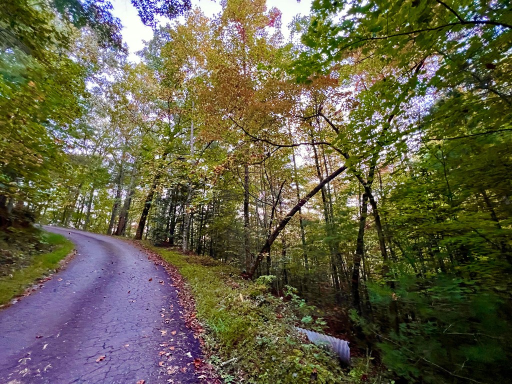 10.53 Ac Nc Highway 294 #PO3+4, MURPHY, North Carolina image 6