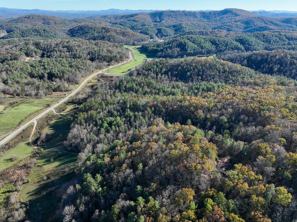 10.53 Ac Nc Highway 294 Rd #PO3+4, MURPHY, New York image 16