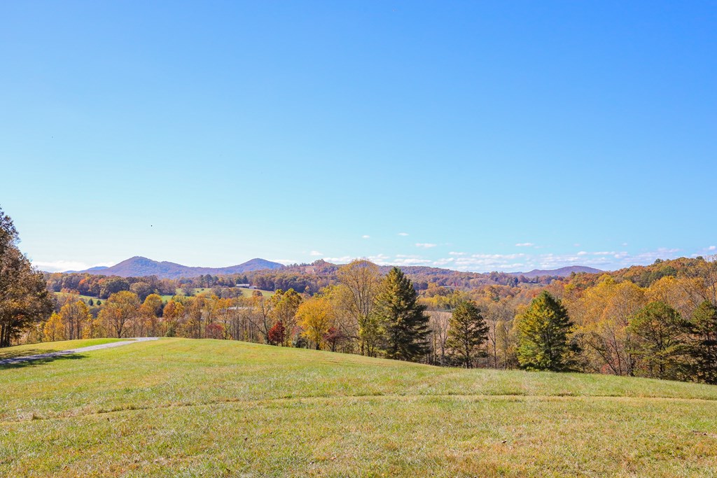 Lot 14 Hinton Overlook #14, HAYESVILLE, North Carolina image 5