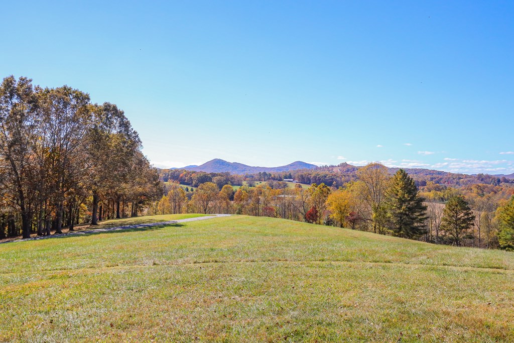 Lot 14 Hinton Overlook #14, HAYESVILLE, North Carolina image 13