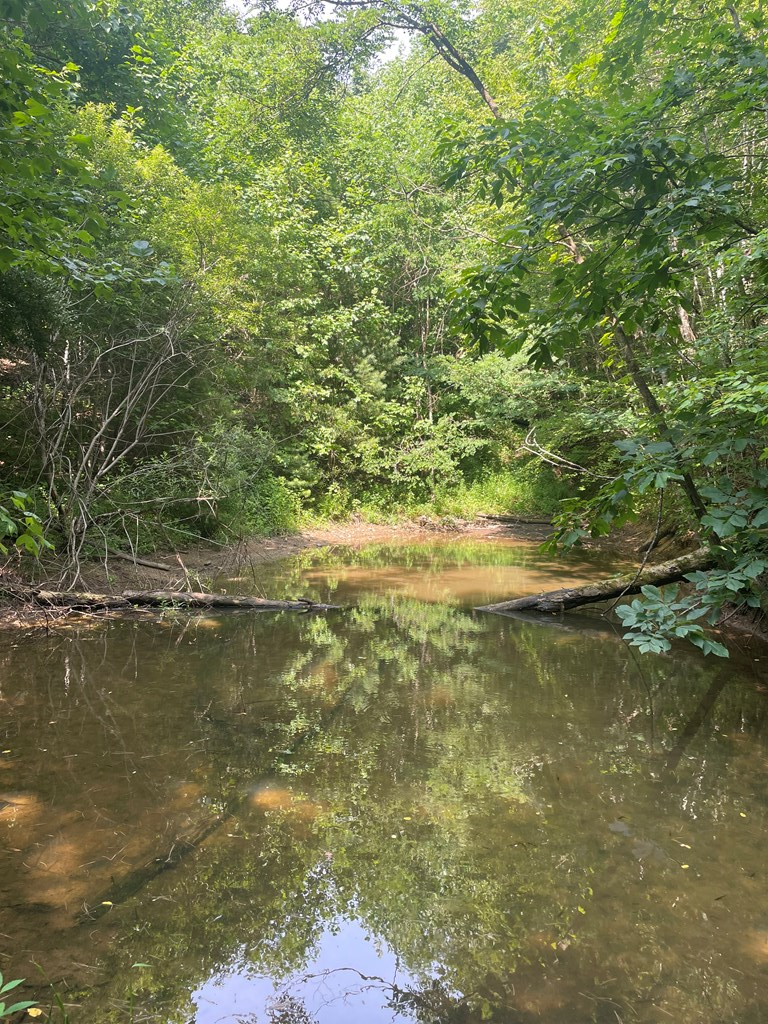 00 Hidden Lakes Road, TOPTON, North Carolina image 6