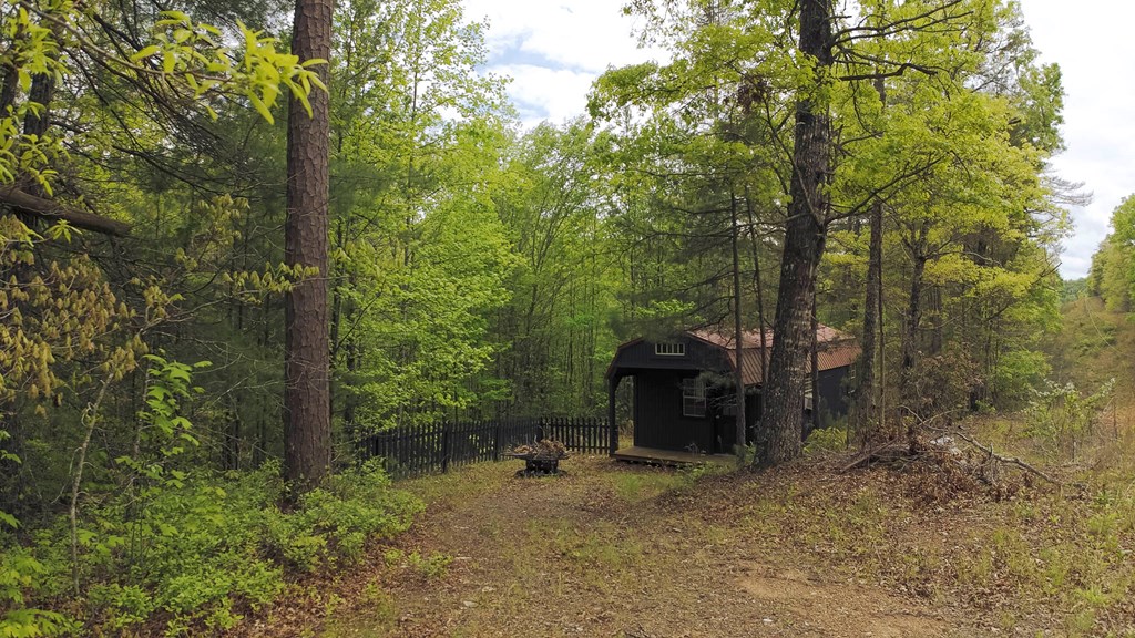 55 Country Oaks Lane, MURPHY, North Carolina image 2