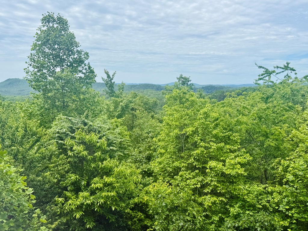 1110 Cardinal Rd, MURPHY, North Carolina image 33