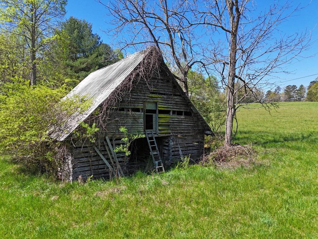 1489 Boy Scout Road #TR 2, BLAIRSVILLE, Georgia image 20