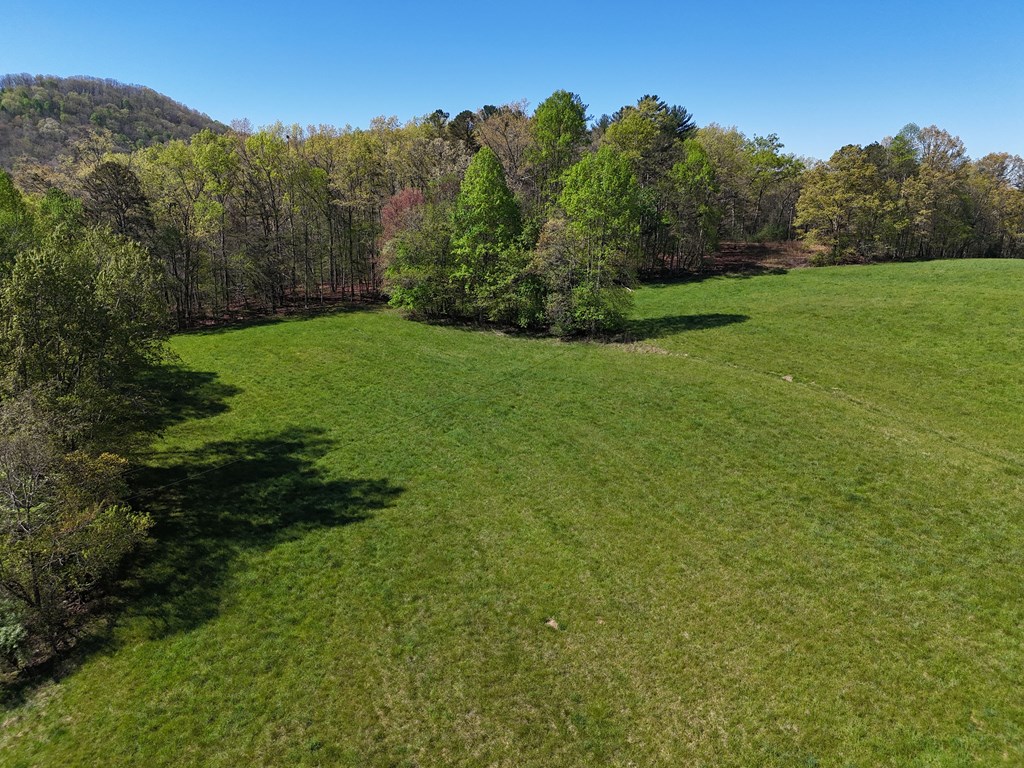 1489 Boy Scout Road #TR 2, BLAIRSVILLE, Georgia image 11