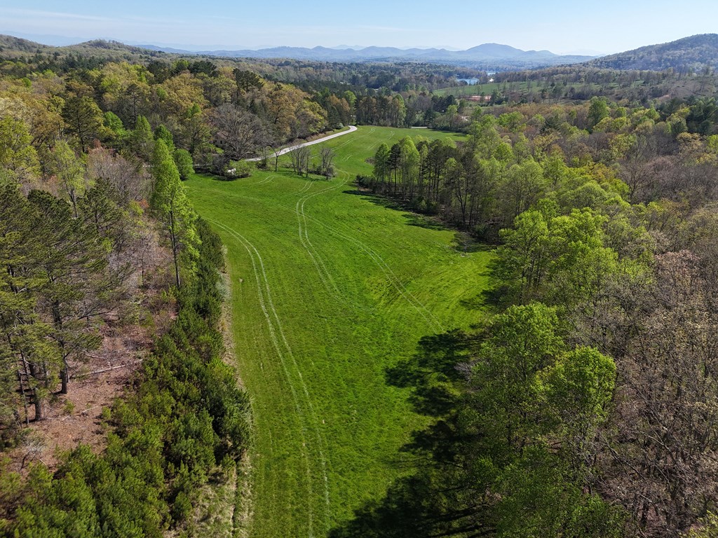 1489 Boy Scout Road #TR 2, BLAIRSVILLE, Georgia image 6