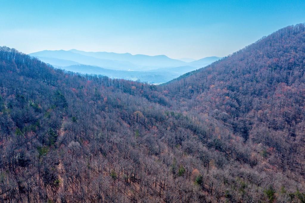 100 Ac Mica Mine Road, HAYESVILLE, North Carolina image 1