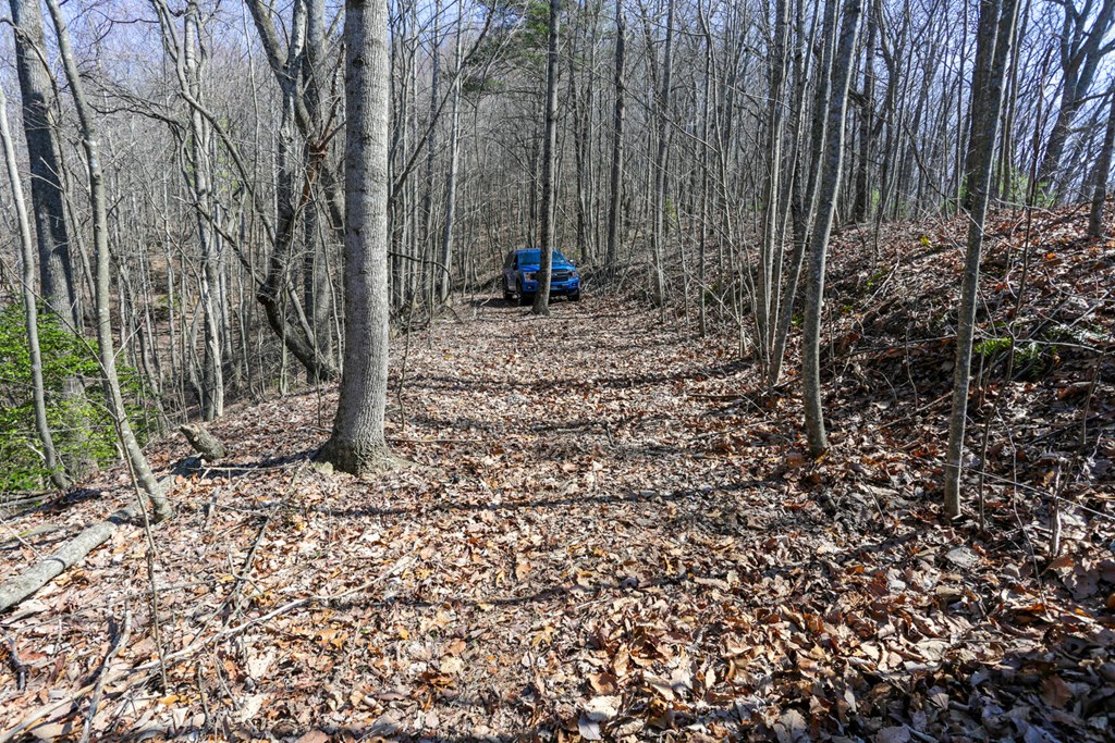 100 Ac Mica Mine Road, HAYESVILLE, North Carolina image 22