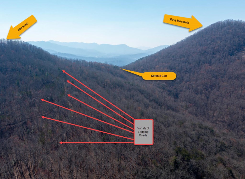 100 Ac Mica Mine Road, HAYESVILLE, North Carolina image 3