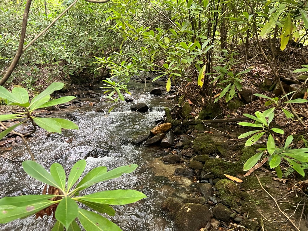 000 Cross Creek Rd, ANDREWS, North Carolina image 3