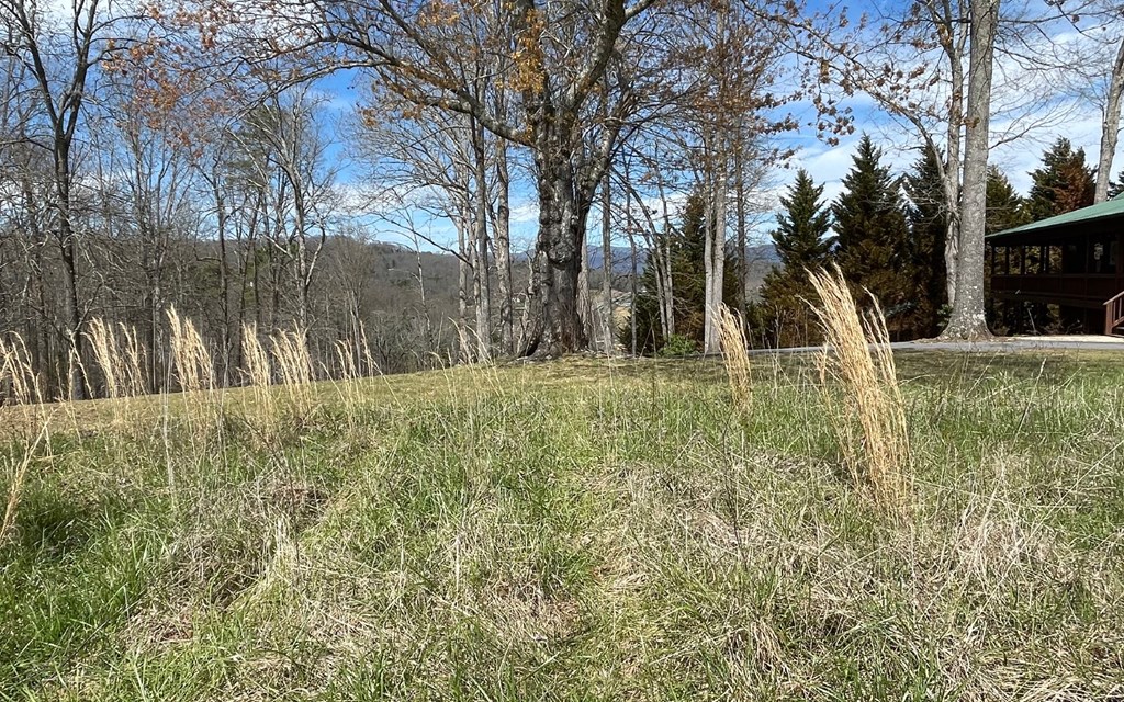 Lot 8 Cabin Drive #8, HAYESVILLE, North Carolina image 14