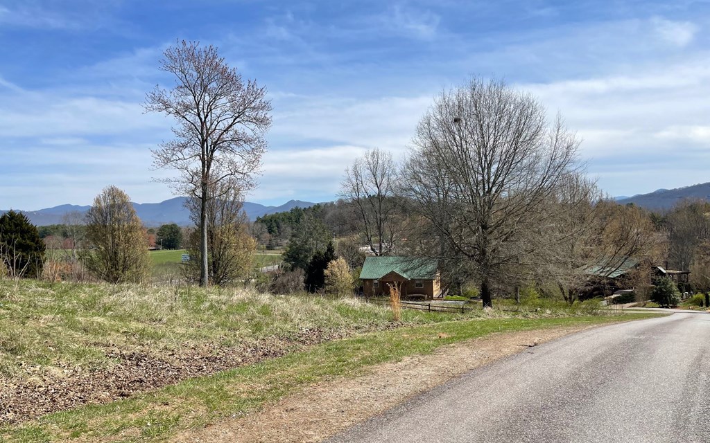 Lot 8 Cabin Drive #8, HAYESVILLE, North Carolina image 8